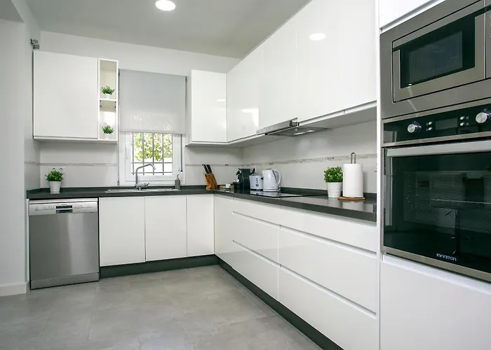 Genteel El Brillante *