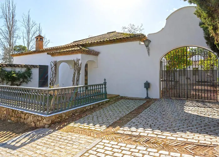 Genteel El Brillante